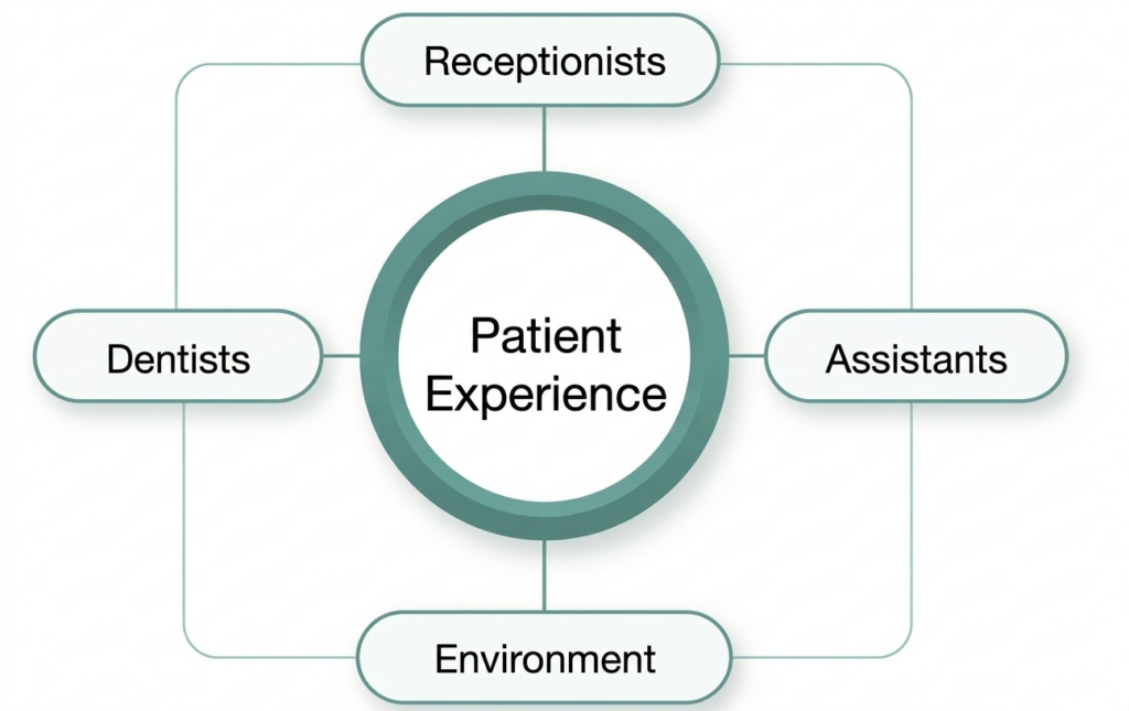 schema experience patient edtm